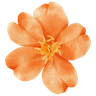 naranja